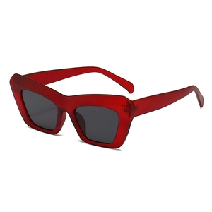 Modern retro sun glasses with red translucent thick frames and dark grey geometric lenses