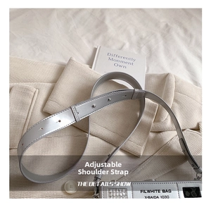 Close-up of adjustable silver metallic strap buckle for creative camera-shaped bag