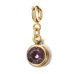 Gold stainless steel 6mm charm with purple birthstone and spring clasp for jewelry DIY