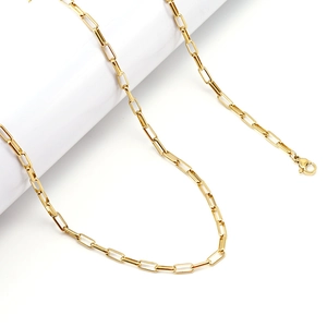 Classic 18K gold-plated titanium paperclip chain necklace with a lobster claw clasp