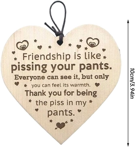 Macro view of 10cm heart-shaped wooden friendship plaque with humor quote and hanging rope