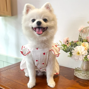 Detailed view of heart print pet dress with ruffle sleeves on a white Pomeranian dog