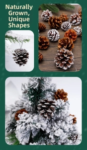 Pommes de pin naturelles avec effet neige et cordons argentés pour décoration de Noël