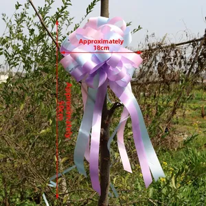 Detail of large tricolor bow decoration with 18cm diameter and 50cm ribbons hanging