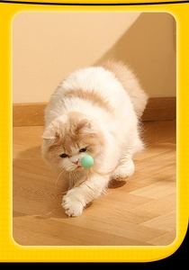 Cat playing with a light green durable silicone ball toy on warm wooden flooring
