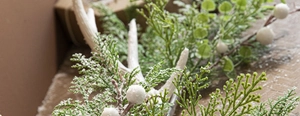 Detailed macro view of frosted cedar branches with white berries and faux antlers