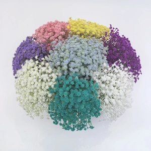 Top view of colorful artificial baby's breath flower bouquet arranged in a circle