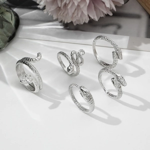Retro silver snake and moon ring set featuring five unique wrap designs on a clean base