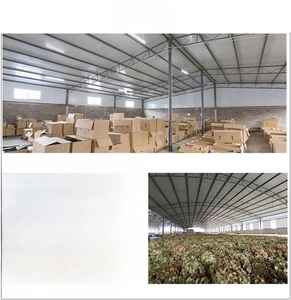 Professional warehouse and storage facility for dried preserved flower arrangements