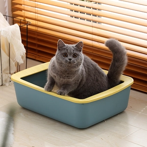 Blue and yellow open litter box with high sides in a cozy home setting with a cat
