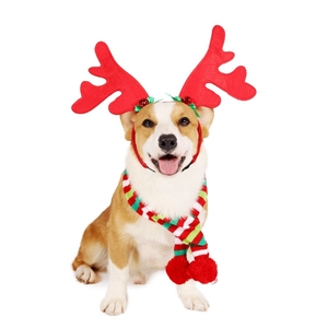 Detail of dog Christmas antler headband with bell and striped knit scarf for large dogs