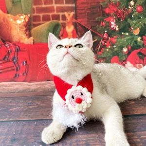 Close-up of a festive knitted Christmas pet scarf with Santa Claus and white pompoms