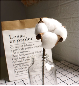 Detailed view of dried cotton flower stems with white bolls on a decorative table