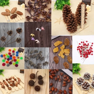 Natural Dried Pine Cones Pinecones Flowers Red Berries Lotus Pods For Christmas DIY Crafts Photography Props Home Decor