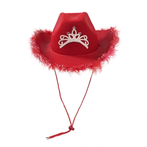Pink Barbie-style cowboy hat with fluffy red feathers and sparkling rhinestone crown
