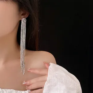 Elegant silver tassel earrings with zircon studs worn by a model for luxury fashion