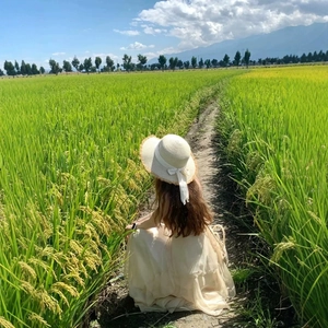 Beige wide brim straw hat with white ribbon bow decoration on a model in a rural field