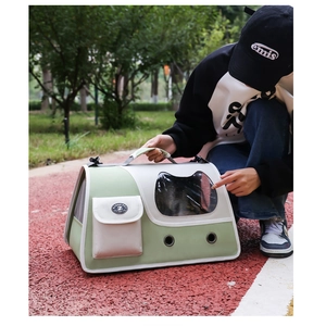 Detail of green pet carrier featuring a cat-ear window and breathable mesh panels