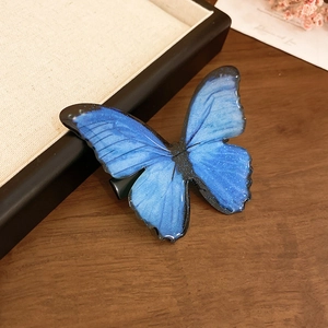 Detail of blue resin butterfly hair clip with glitter wings on wooden texture