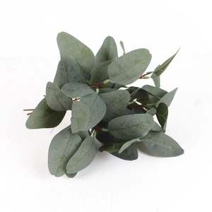 Detailed close-up of eucalyptus leaves with berries and realistic frosted texture
