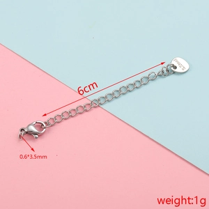 Detailed 6cm stainless steel extension chain with lobster clasp and S.Steel tag