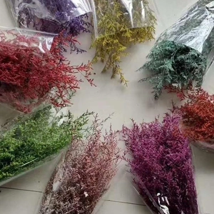 Colorful dried Limonium flowers in transparent packaging bundles for DIY floral arrangements