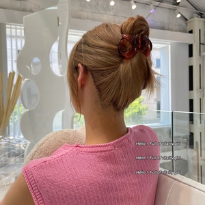 Pince à cheveux ambre écaille de tortue pour femme fixant les cheveux longs en chignon