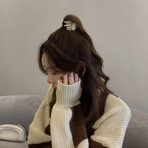 Elegante pinza per capelli neutra per acconciatura a coda di cavallo alta da donna