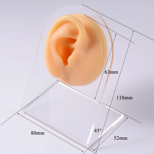 Silicone ear model dimensions 118mm height with clear acrylic stand on gray background