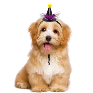 Halloween pet headband with purple and yellow felt decor for small to medium dogs