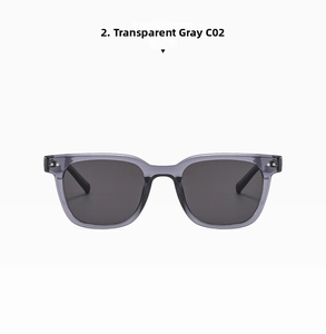 Detail of transparent grey polarized sunglasses with stylish silver metal rivets and grey lens