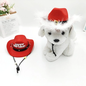 Close-up of pet birthday cowboy hat with happy birthday sequins and adjustable strap