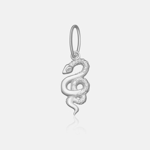 Macro detail of silver snake pendant with clear scale texture and connector ring