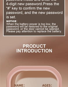 Istruzioni dettagliate del salvadanaio elettronico per password e avviso batteria scarica