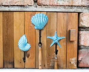 Detail of vintage blue ocean shells resin wall hooks with aged texture on rustic wood