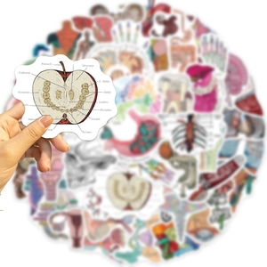 50pcs waterproof cartoon anatomical organ stickers for guitar and laptop decoration