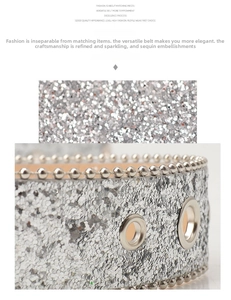 Macro detail of silver sequin belt with metal eyelets and decorative beaded edges