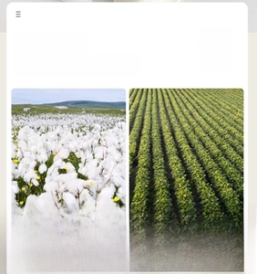 Detail showing premium Aksu combed cotton material sourced from eco-friendly cotton fields