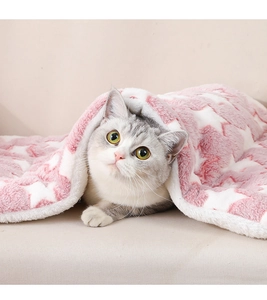 Close-up of a grey striped cat under a soft pink and white star pattern flannel pet blanket