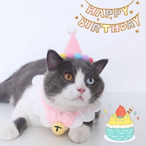 Pink crochet pet bib with bow and festive felt hat for cat or dog birthday party