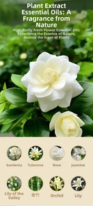 Detailed view of natural essential oil scents including Gardenia, Rose, and Jasmine