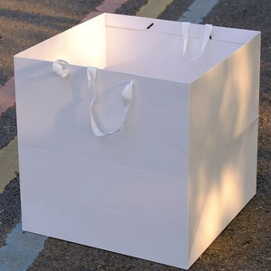 Minimalist white square kraft paper gift bag with silk ribbon handles on an outdoor road