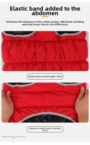 Detail of elastic belly band on red dog jacket size 3XL showing stretchable fabric