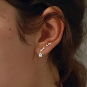 Elegant S925 sterling silver ear studs set with zircon floral and moon geometric designs
