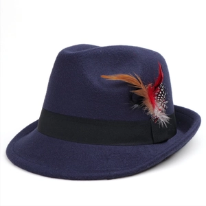 Detail of dark blue fedora hat with black grosgrain ribbon and colorful feathers