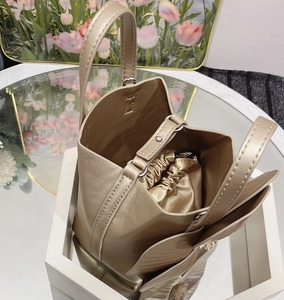 Detailed top view of champagne gold bucket bag with interior satin pouch and wing details