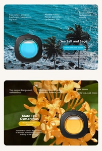 Detailed comparison of sea salt and osmanthus car diffusers with aromatic notes descriptions