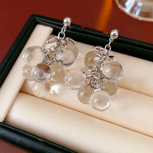 Close-up of crystal grape tassel earrings with silver studs in a jewelry box