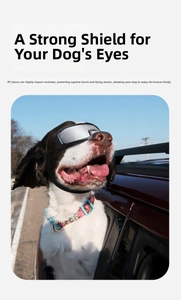 Vista detallada de gafas para perro con lentes de PC resistentes y correa ajustable