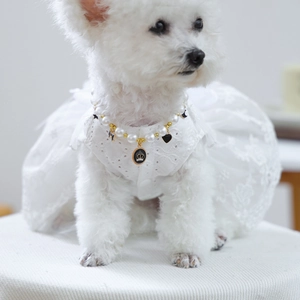Detailed view of luxury pet pearl necklace with charms and lace white dog dress